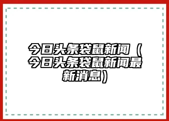 今日头条袋鼠信息（今日头条袋鼠信息最新音书dhy大红鹰官方网站