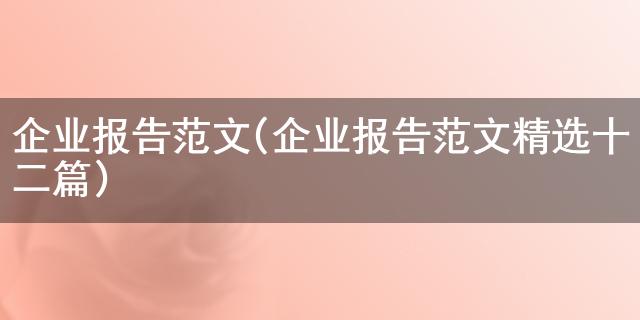 大红鹰dhy优惠大厅企业报告范文(企业报告范文精选十二篇)